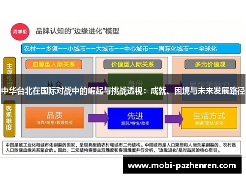 中华台北在国际对战中的崛起与挑战透视：成就、困境与未来发展路径