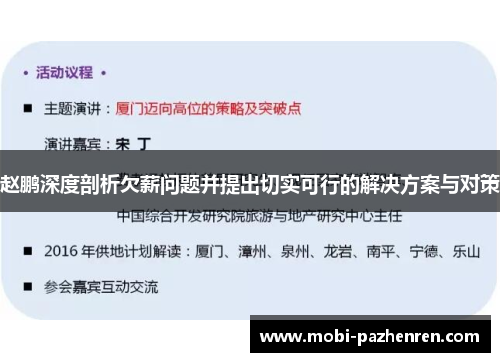赵鹏深度剖析欠薪问题并提出切实可行的解决方案与对策