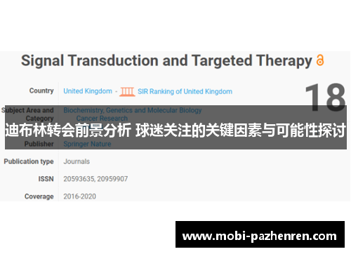 迪布林转会前景分析 球迷关注的关键因素与可能性探讨