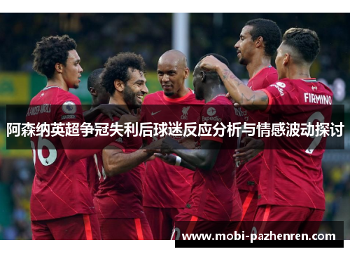 阿森纳英超争冠失利后球迷反应分析与情感波动探讨