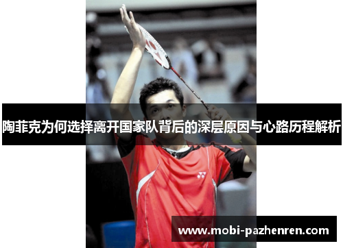 陶菲克为何选择离开国家队背后的深层原因与心路历程解析