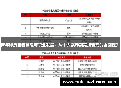 青年球员自我管理与职业发展：从个人素养到竞技表现的全面提升